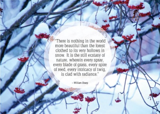 25 Nice Quotes About winter and snow 021