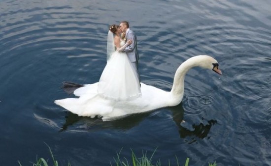 30 Funny Wedding Photos from Eastern Europe 016