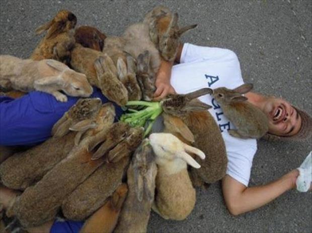 32 Cute Pictures That Will Make Your Day 006
