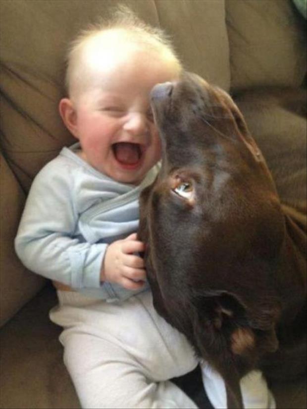 32 Cute Pictures That Will Make Your Day 007