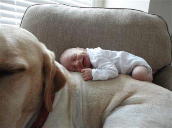 32 Cute Pictures That Will Make Your Day 008