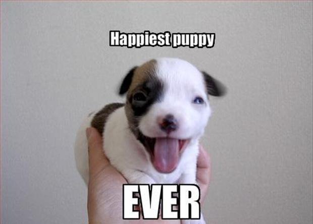 32 Cute Pictures That Will Make Your Day 021