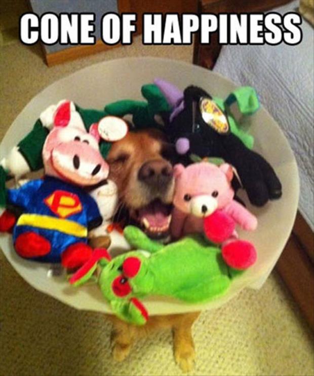 32 Cute Pictures That Will Make Your Day 024