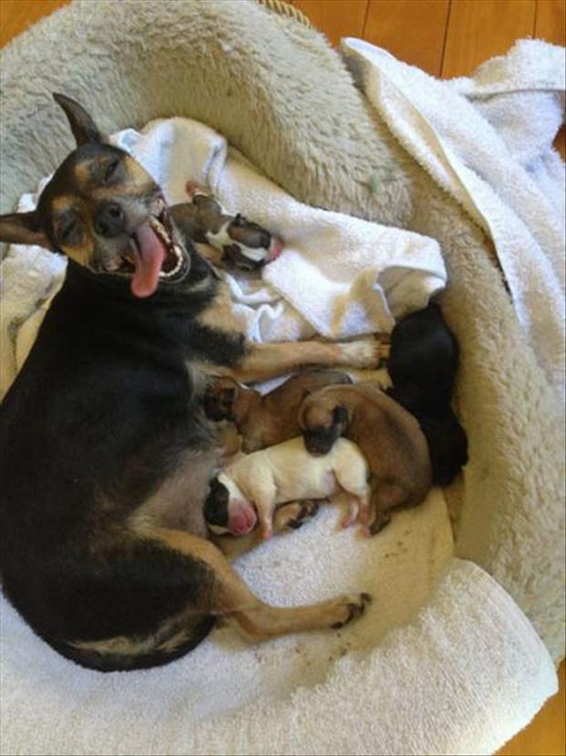 32 Cute Pictures That Will Make Your Day 026