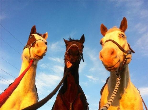 32 Cute Pictures That Will Make Your Day 030