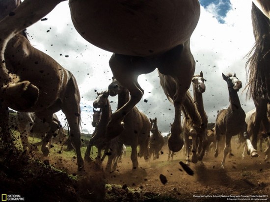 35 Greatest Photographs by National Geographic 020