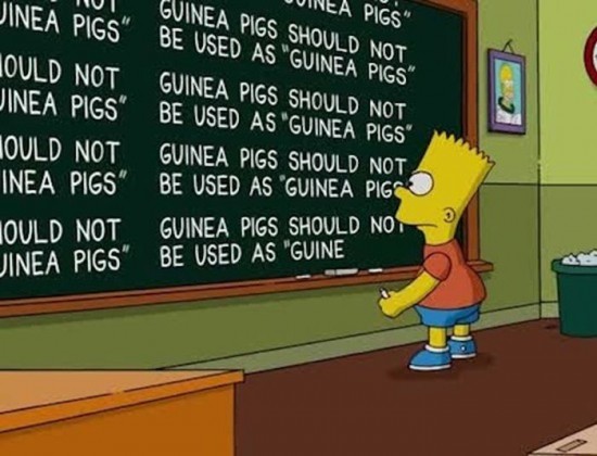 Funniest Simpsons Chalkboard Gags 018