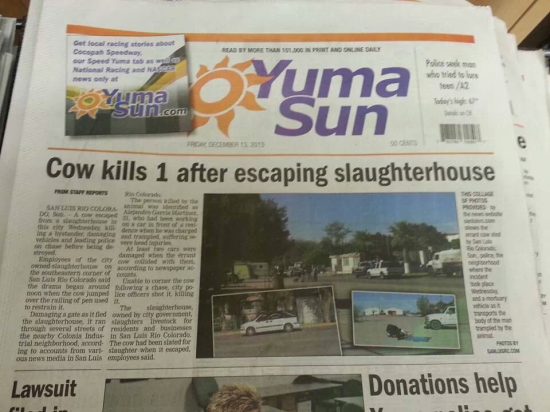 Funny Worthless News 010