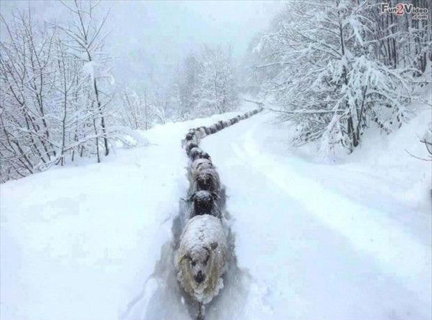 I’m Ready For Winter 010