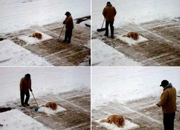 I’m Ready For Winter 013