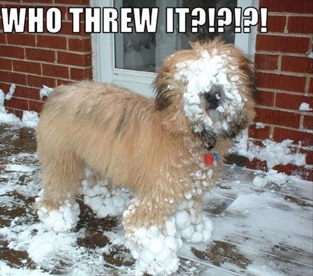 I’m Ready For Winter 017