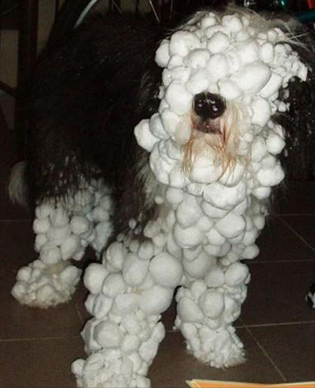 I’m Ready For Winter 019