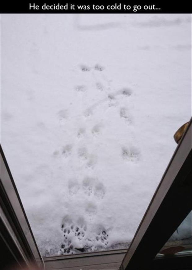 I’m Ready For Winter 023