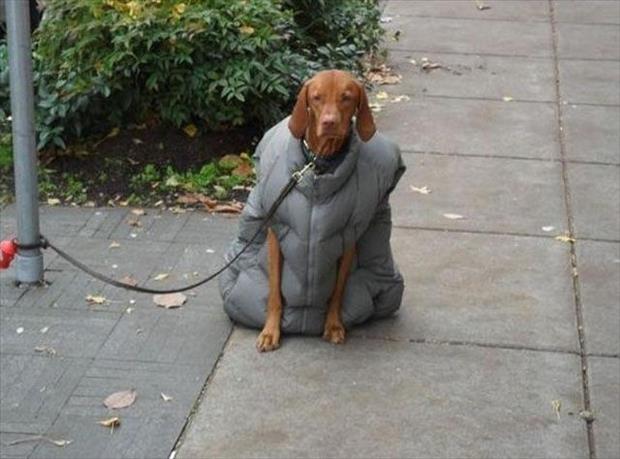 I’m Ready For Winter 024