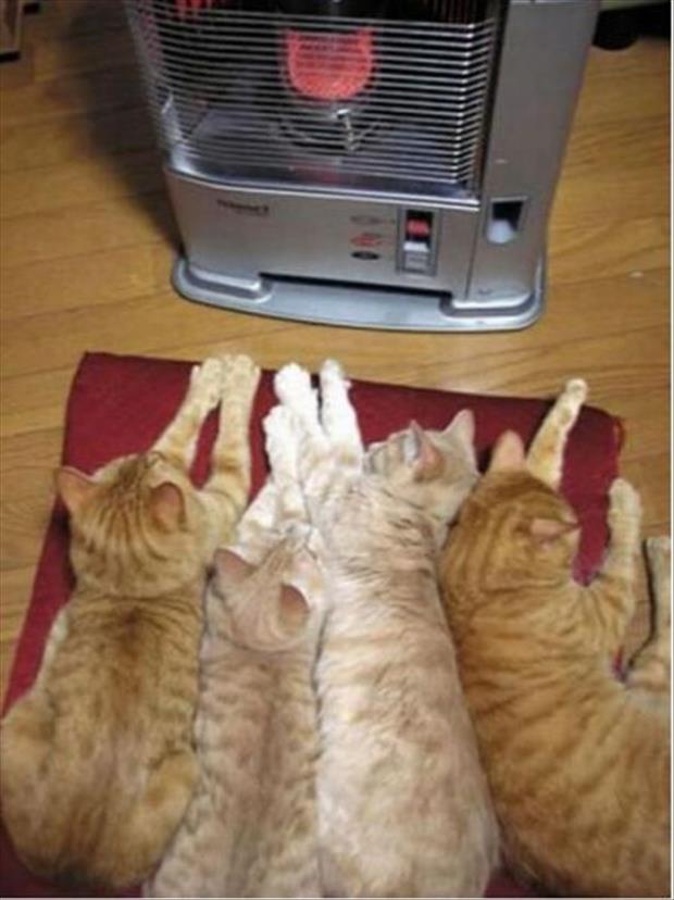 I’m Ready For Winter 026