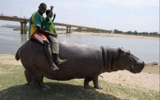 It Happens Only in Africa 011