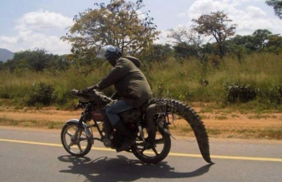 It Happens Only in Africa 035