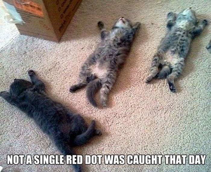 January 13th Picdump 017
