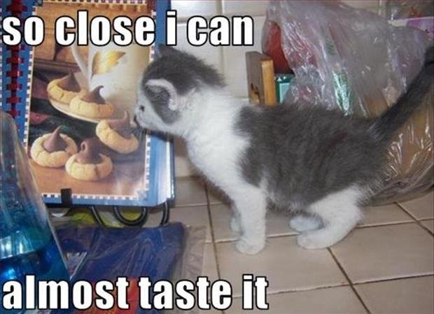 So close, yet so far away 023