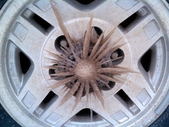The Radiating Beauty of Wheel Icicles 003