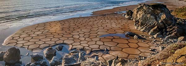 This Man Took a Rake to The Beach and Made Something Amazing 005
