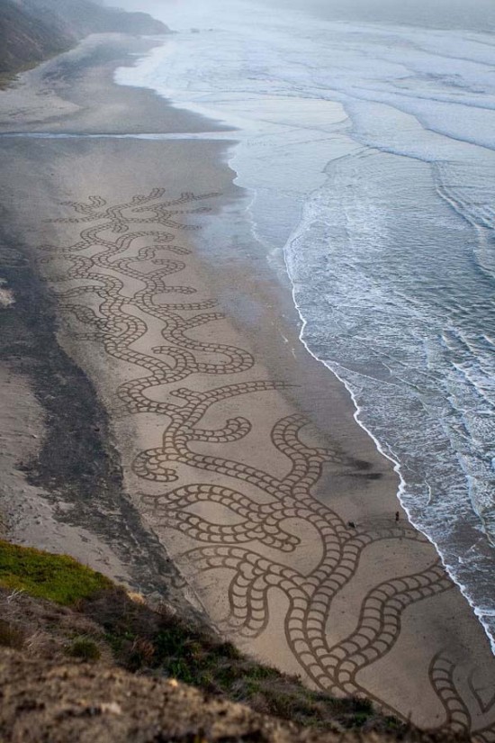 This Man Took a Rake to The Beach and Made Something Amazing 006