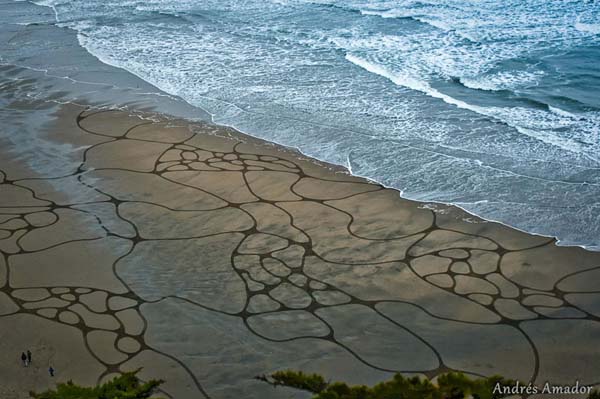 This Man Took a Rake to The Beach and Made Something Amazing 007