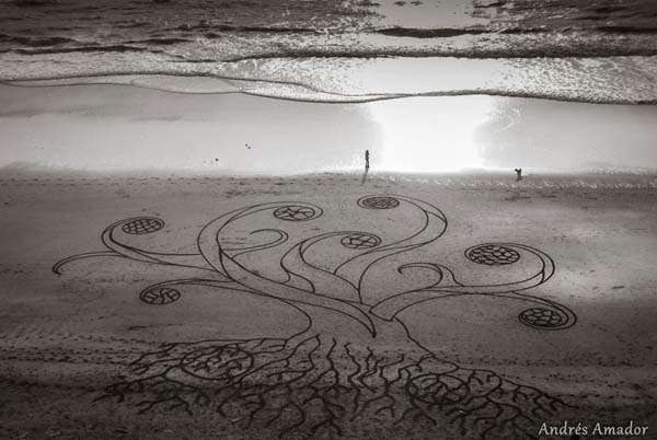 This Man Took a Rake to The Beach and Made Something Amazing 009