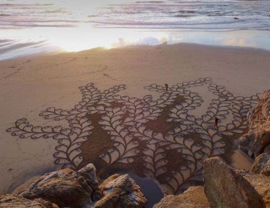 This Man Took a Rake to The Beach and Made Something Amazing 011