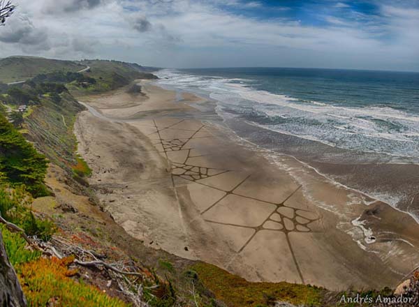 This Man Took a Rake to The Beach and Made Something Amazing 013