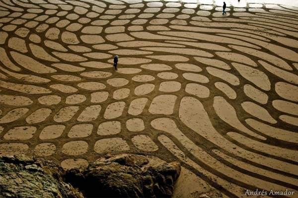This Man Took a Rake to The Beach and Made Something Amazing 014