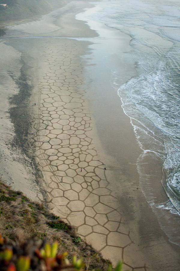 This Man Took a Rake to The Beach and Made Something Amazing 015