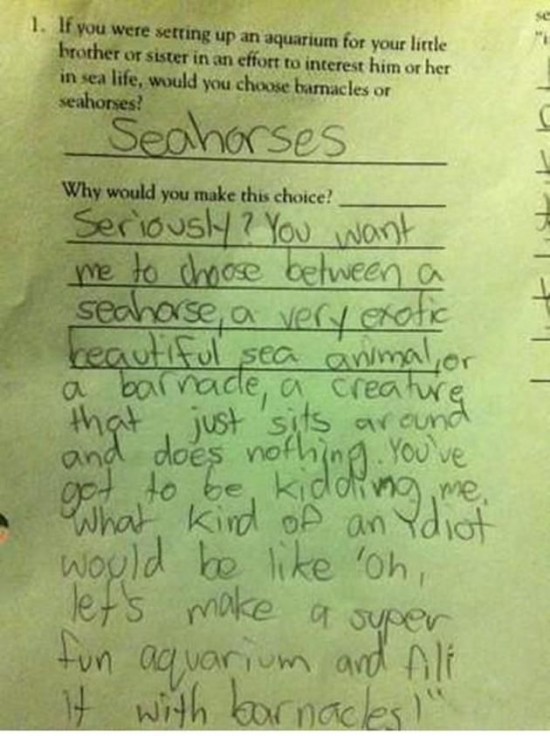 22 Funny Exam Answers 017