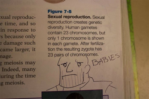 22 Hilariously Defaced Textbooks 019