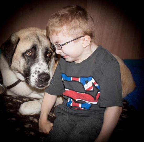 25 Cute Photos Of Babies And Dogs Sharing A Special Moment 004