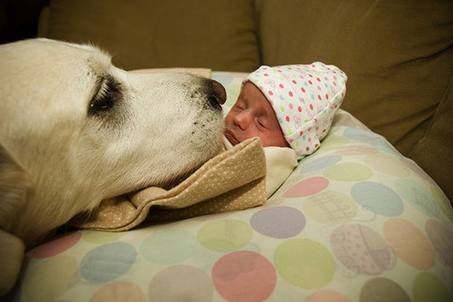 25 Cute Photos Of Babies And Dogs Sharing A Special Moment 006
