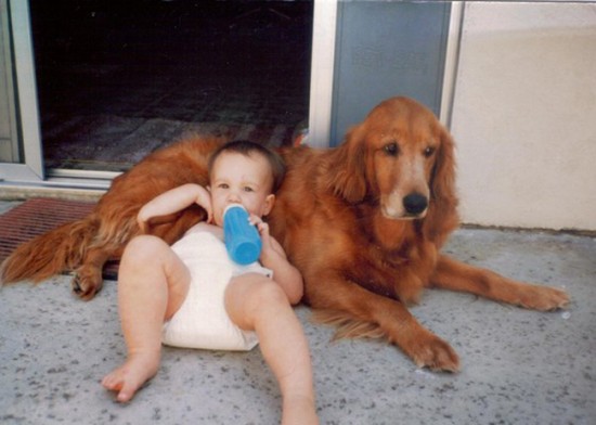 25 Cute Photos Of Babies And Dogs Sharing A Special Moment 008