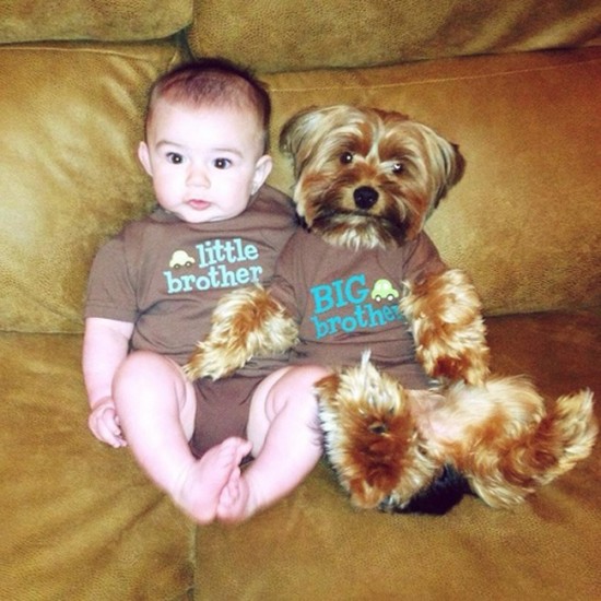 25 Cute Photos Of Babies And Dogs Sharing A Special Moment 009