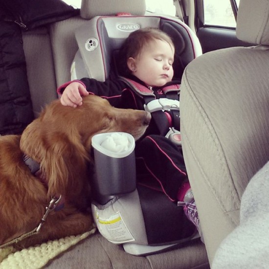 25 Cute Photos Of Babies And Dogs Sharing A Special Moment 011