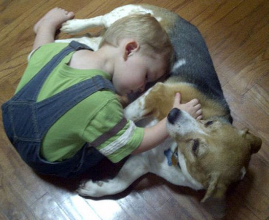 25 Cute Photos Of Babies And Dogs Sharing A Special Moment 012