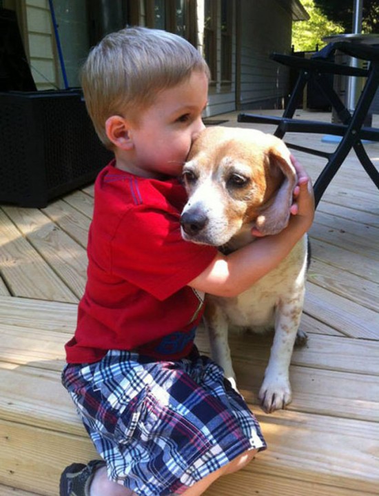 25 Cute Photos Of Babies And Dogs Sharing A Special Moment 013
