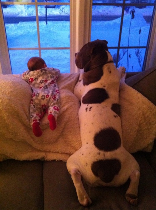 25 Cute Photos Of Babies And Dogs Sharing A Special Moment 015