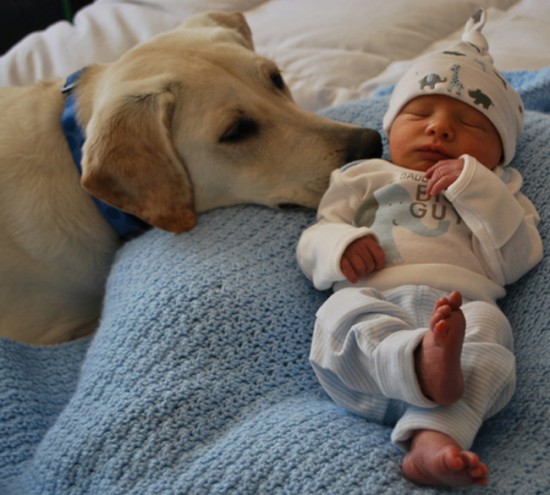 25 Cute Photos Of Babies And Dogs Sharing A Special Moment 018