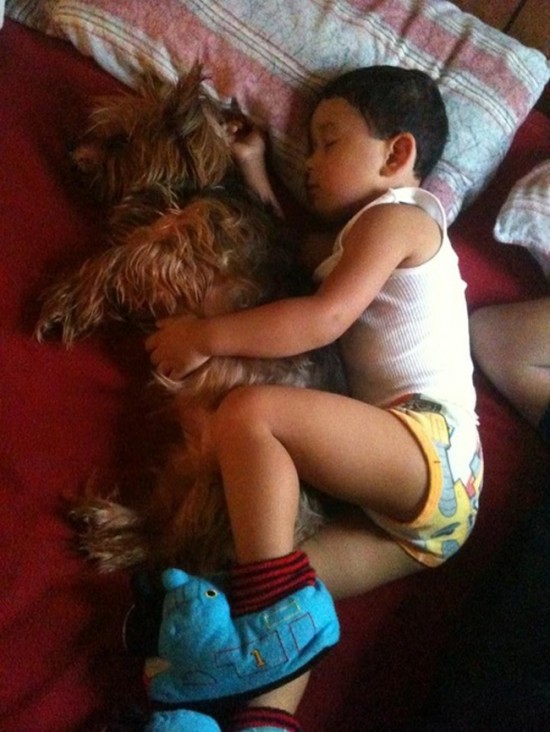 25 Cute Photos Of Babies And Dogs Sharing A Special Moment 022