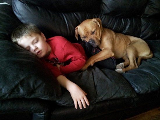 25 Cute Photos Of Babies And Dogs Sharing A Special Moment 023