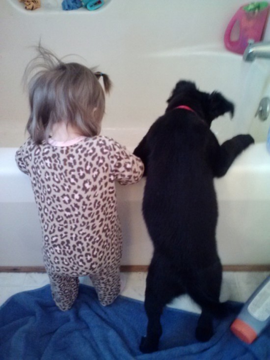 25 Cute Photos Of Babies And Dogs Sharing A Special Moment 024