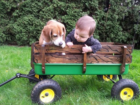 25 Cute Photos Of Babies And Dogs Sharing A Special Moment 025
