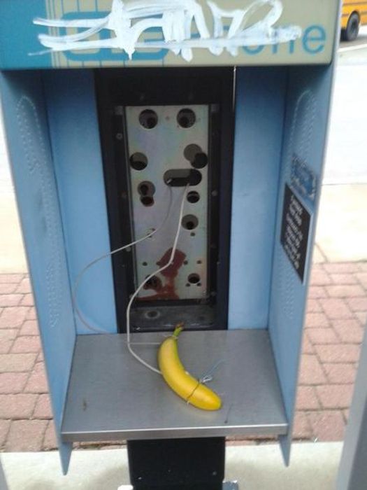 36 WTF photos made at gas stations 007