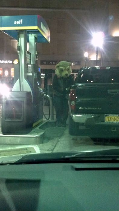 36 WTF photos made at gas stations 030