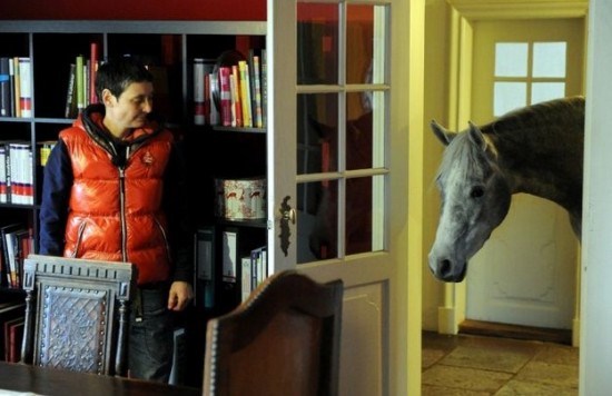A Horse Sheltered From Storms in the Owner’s House 001